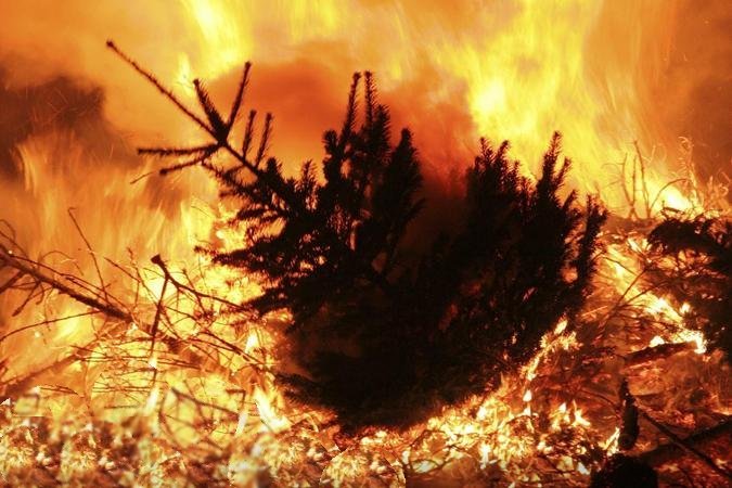 «Голубой Огонек» закрывается, нас всех тошнит. Кровью.