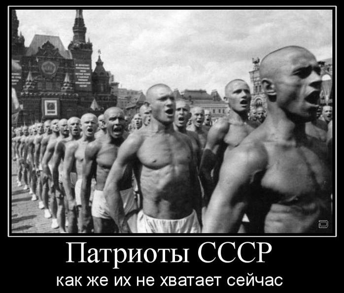 Слишком мало патриотизма.