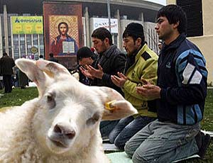 В Запорожье стартовала компания “Разбей бутылку пива об голову муслима”..А в Сирии “Забей крест в горло кяфира”.(Видео)