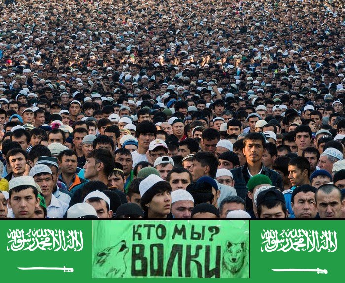 Турецко-крымско-татарский народ – это геморрой на многие годы для Русской Тавриды.