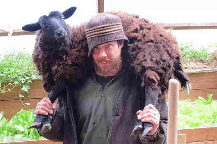 Американский патриот РФ дает совет кремлёвским “патриотам”,как надо поднимать сельское хозяйство,не сдавая пахотную землю китайцам-кошкоедам для превращения её в пустыню.