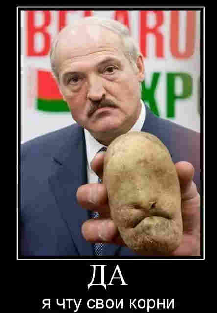 Змагары ловят «черносотенцев» в Белой Руси. Батька-гiсторык разрешил.