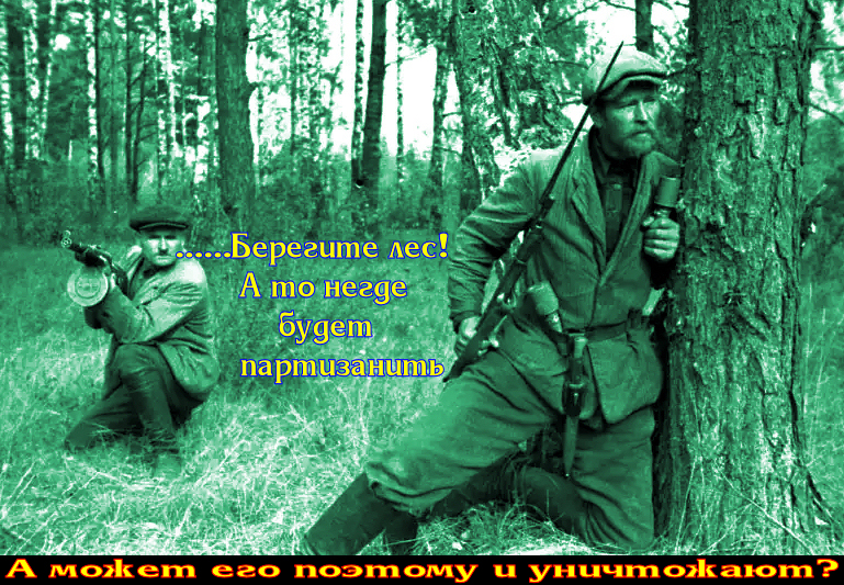 Благодаря владимиру владимировичу, мы наконец-то вышли на 1-ое место в мире……….  по уничтожению собственных лесов.