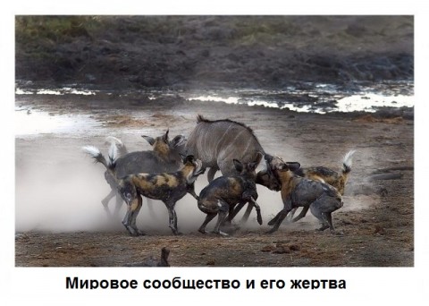 РФ стала таким же международным шакалом, как и её партнеры.