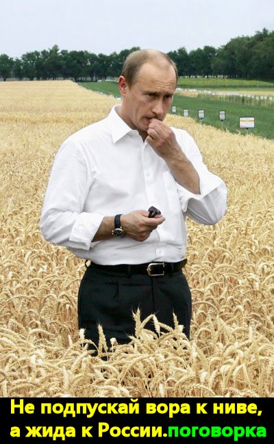 Суд разрешил СКР не проверять заявление граждан о том, что Путин вор…”Раб” обокрал “галеру” подчистую.