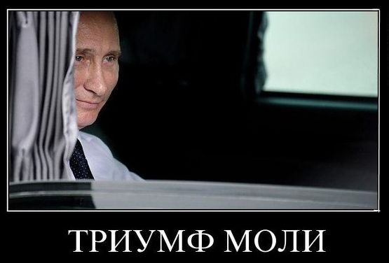 Кремль на глазах проигрывает Крым и начинает платить Киеву контрибуцию.Псы вы безродные, однако, а не стратеги. Трусость и глупость наказуемы, кремлевцы. Всегда и везде.