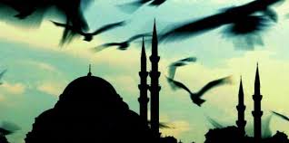 «Как таковых, национальных столкновений на Ставрополье нет»..(Видео)..Нерусское Ставрополье.