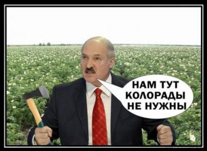 «День воли».Колхозник Лукаш ускоренно выращивает своих нациков.