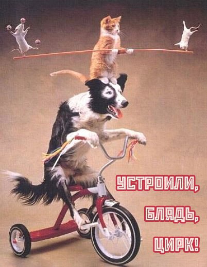 Кремлёвский еврейский цирк: Минкульт предлагает праздновать смерть пармезана, а не начало Русской Весны.