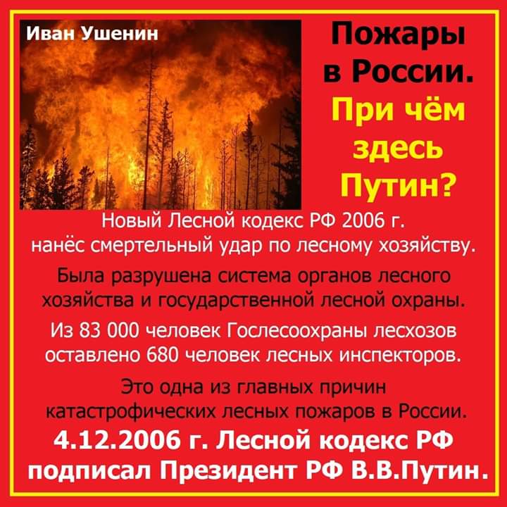 “Да вы там, что, в своей Москве совсем здравый рассудок утратили?”.. Вся Сибирь задыхается от дыма и гари, а Путину и его чекистскому кагалу похер, и совесть их не мучает.. А ведь именно они разогнали всех лесников, из-за этого все леса стали безхозными, вот потому 2 млн.га выгорают и 2 млн. вырубают, в год.