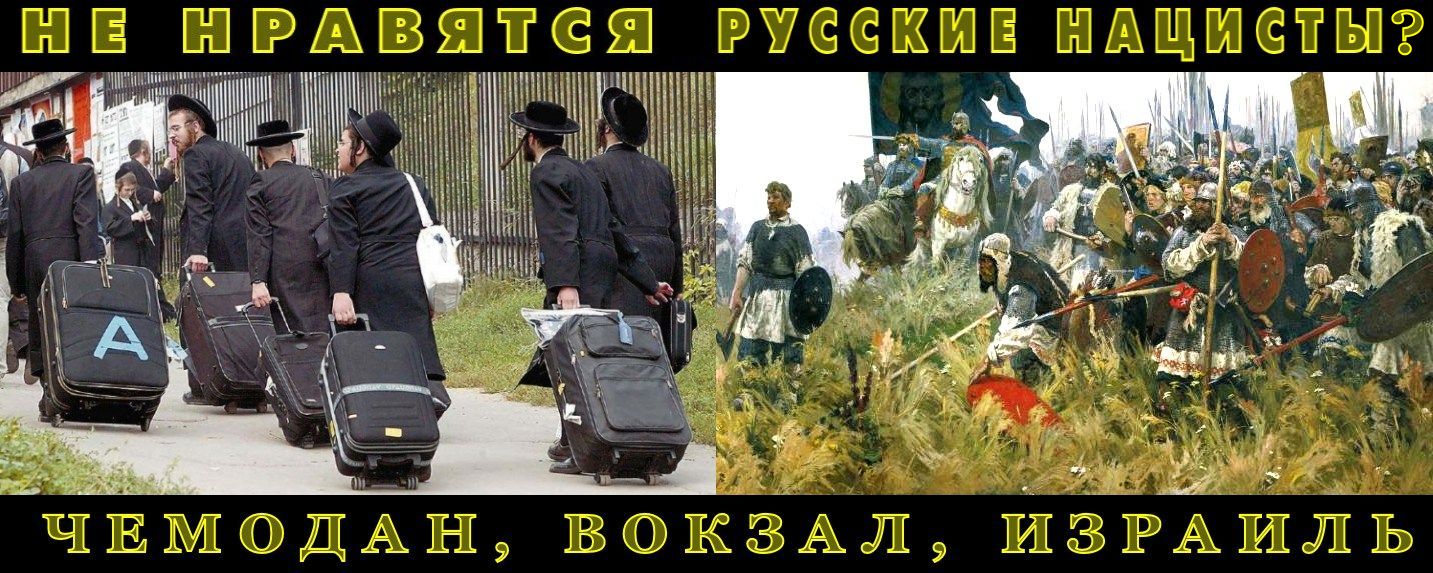 “Нашли себе проблему – неонацизм. Видите ли “неонацисты”, которыми вы называете русскую пассионарную молодежь, чуть ли не главная проблема в России. Зло из зла, беда из бед. Это ложь, чушь и позор. Думать и говорить так”.