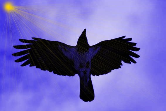 Закружились вороны…