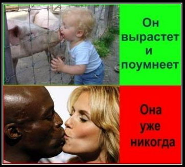 Русские давно поднимают вопрос о том, что межнациональные браки разрушают генотип народа.