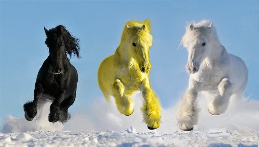 Русский Марш 2016 года. Единственный полный обзор.