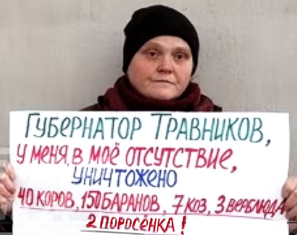 Вместо того, чтобы забивать больных скотов, монгольских исламочурок из Ср.Азии (500.000 в год прибывает только в Новосиб.область), везущих заразу и русским людям и их животным; ✡️власти✡️ Новосиб.области решили забивать здоровый скот здоровых русских крестьян.