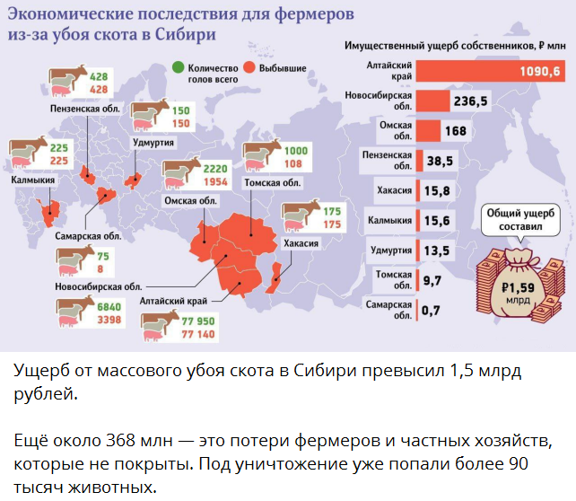 В Сибири началось “разкулачивание”. Вместо того, чтобы забивать больных скотов, монгольских исламочурок из Ср.Азии (500.000 в год прибывает только в Новосиб.область), везущих заразу и русским людям и их животным; ✡️власти✡️ Новосиб.области решили забивать здоровый скот здоровых русских крестьян.Народ устроил бунт!​(Видео)