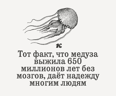 Вы уже осознаете, что проиграли. Ваша пропагандистская машина прилагает титанические усилия, чтобы отвлечь внимание электората от девальвации рубля и обнищания.