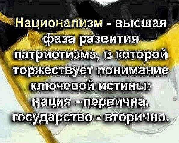Псевдорусский политэмигрант пытается рассуждать о русском национальном движении, не понимая из кого оно состоит.