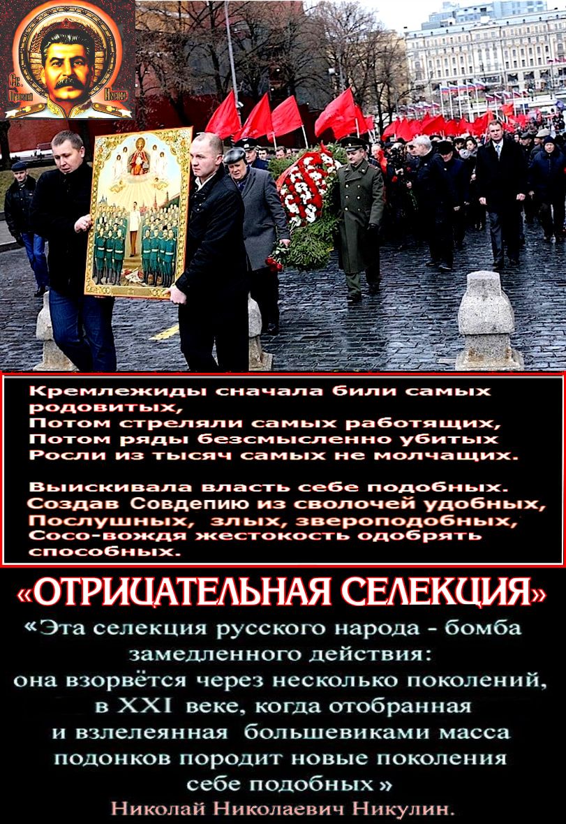 “ОТРИЦАТЕЛЬНАЯ СЕЛЕКЦИЯ” и “ПОЛОЖИТЕЛЬНАЯ СЕЛЕКЦИЯ” – правильная.