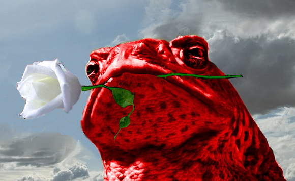 М.В. Назаров. Миф об “интервенции 14 государств”.