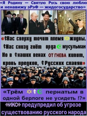 МВН: “Мигранты. Что могу сделать ☦Я?” – ☦ТЫ, на каждом углу и во всех СМИ должен говорить ПРАВДУ, – заявлять, что орду исламочурок завозит лично жид Путин и его кагал швондеров, чтобы уничтожить ☦русский народ окончательно. Только эта ПРАВДА может остановить жидов и их нацпроект по уничтожению ☦русских.